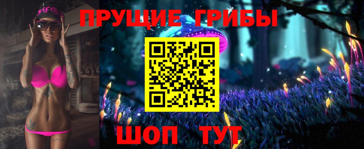 Псилоцибиновые грибы мицелий Алатырь