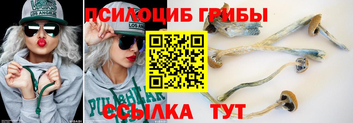 Псилоцибиновые грибы GOLDEN TEACHER  Вход с VPN  хочу наркоту  Алатырь 